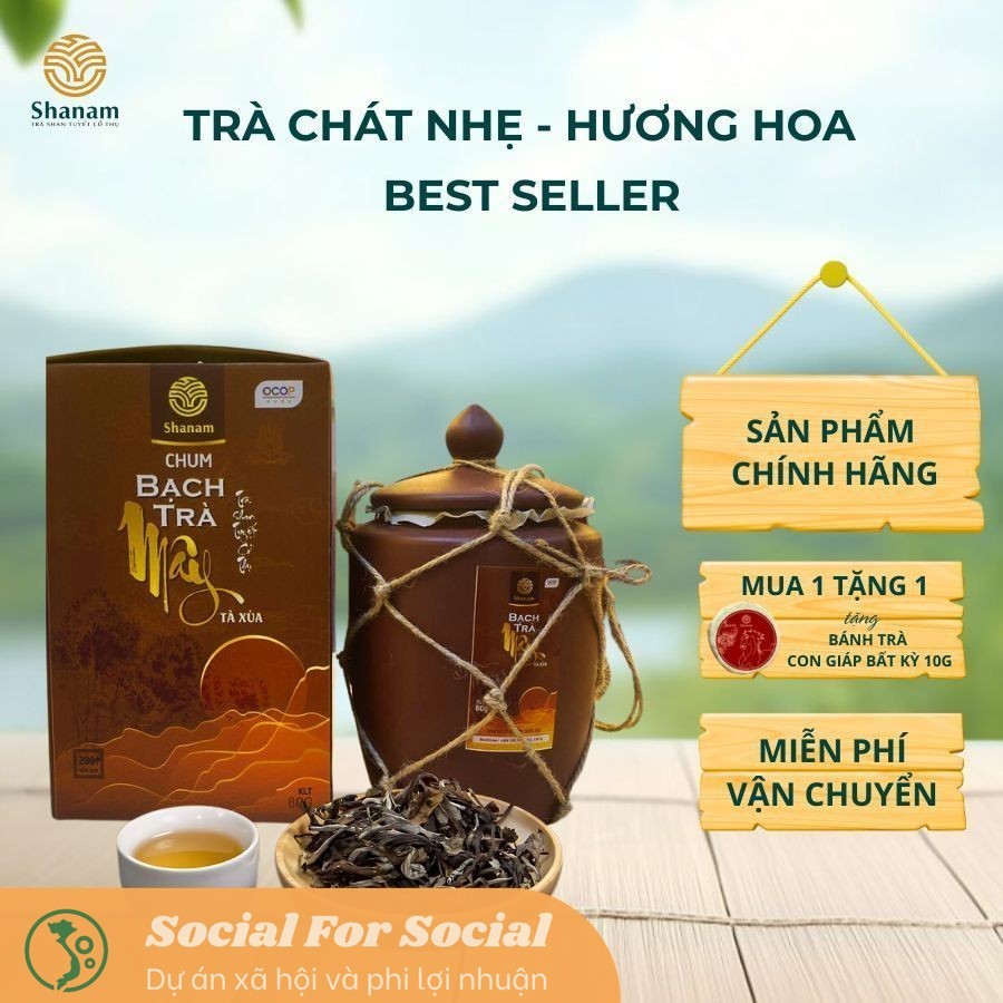 Chum Bạch Trà Mây Tà Xùa 1T2L 80G - Trà Shan Tuyết Cổ Thụ Shanam