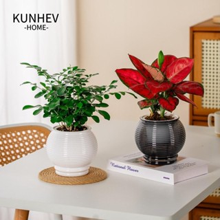Bình hoa KUNHEV, Chậu cây thủy canh bằng nhựa có thể tháo rời, Bình trồng cây mọng nước Mini thời trang