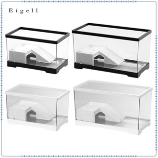  Bể nuôi rùa Khu vực đa chức năng Terrapin Basking Ramp 