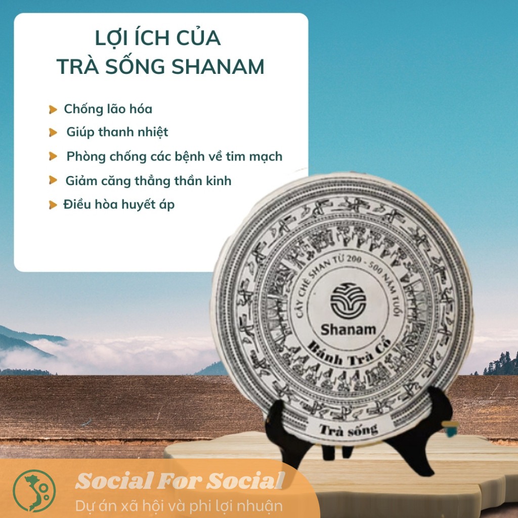 Bánh Trà Sống Cổ Thụ Yên Bái 1 Tôm 3 Lá Yên Bái Shanam, Giảm Các Bệnh Về Tim Mạch, Giảm Căng Thẳng