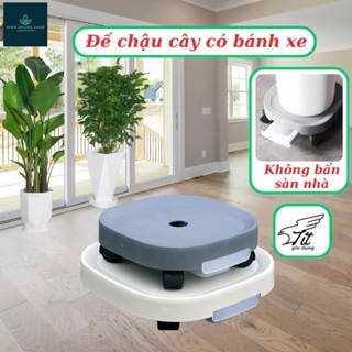 Kệ đế chậu cây có bánh xe, khay hứng nước thừa
