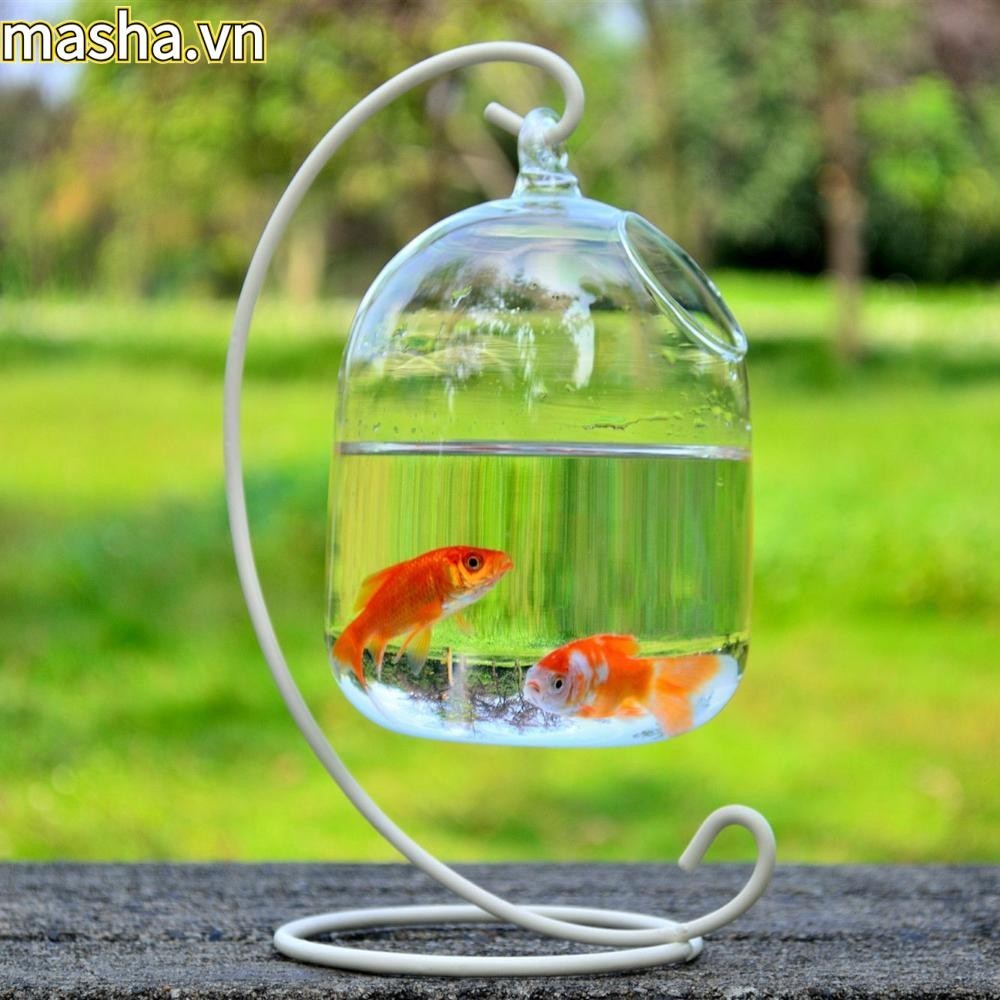 Bể Cá Thủy Tinh Thủ Công Treo Có Chân Đế Thủy Tinh Bể Cá Mini