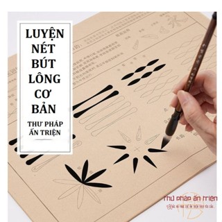 GIẤY LUYỆN THƯ PHÁP [ 120 TỜ ] LUYỆN NÉT BÚT LÔNG CƠ BẢN TỰ HỌC VIẾT THƯ PHÁP HÁN VÀ VIỆT có miễn phí vận chuyển