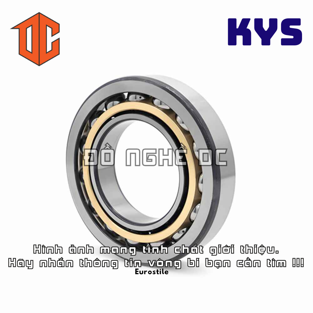 Vòng bi KYS NJ206 NJ313 NJ308 NJ2205 NJ2212 NJ216 NJ212 NJ2215 NJ209 NJ211 NJ213 NJ310 NJ208 NJ2306 