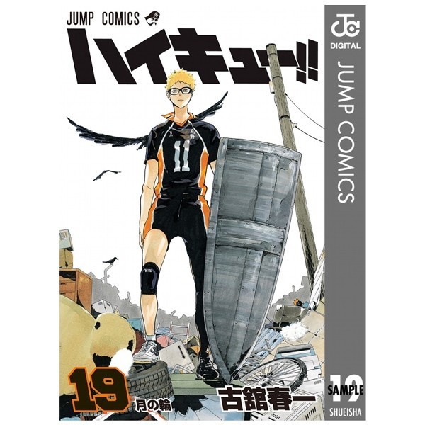 Haikyu!! 19 (Japanese Edition)