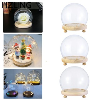 Hộp đựng chậu hoa/ cây cảnh bằng thủy tinh trong suốt đế gỗ hình cầu để bàn trang trí nhà cửa (có bán lẻ)