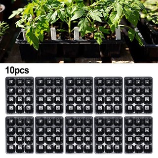 Practical Seed Starting Trays for Robust For Vegetable and Fruit Seedlings 10pcs