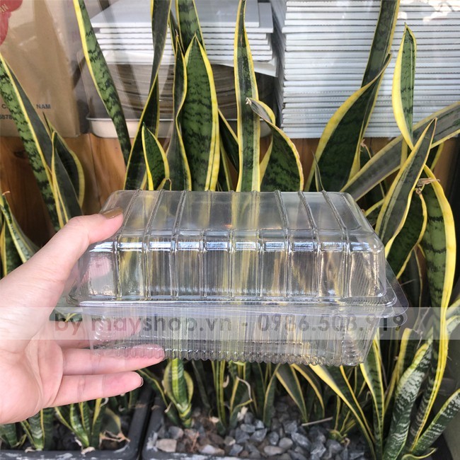 10 Hộp nhựa đựng bánh H07, HH07   - hanadolambanh