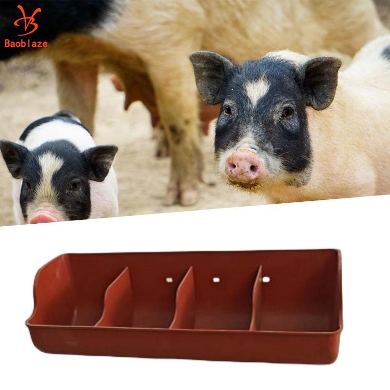 Máng lợn, Khe đựng thức ăn, Đồ dùng cho động vật trang trại, Hộp đựng thức ăn cho động vật nhỏ, Đồ u
