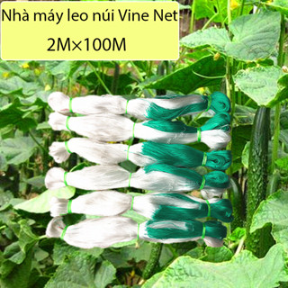  2M X 100M Giàn Lưới Hỗ Trợ Trồng Cây Dây Leo,leo lưới pergola,Lưới Làm Giàn Cây Leo: Mướp Bầu Bí Dưa Chuột Khổ Qua 