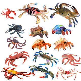 ♞Nhà sản xuất Bán buôn♞Trẻ em Marine Life Mô phỏng Mô hình Cua rắn Tàu con thoi Cua ẩn sĩ Cua Dừa Cua Vua Cua Nhện Cua Mô hình Cua