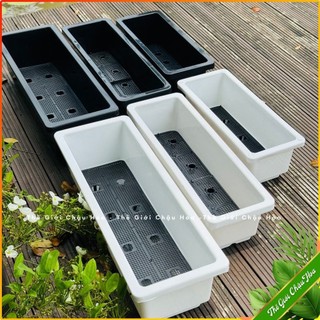  Chậu trồng rau chậu nhựa trồng hoa ,trồng cây cảnh thông minh dày đẹp 