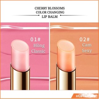 Thỏi Soņ dưỡng môi HOJO Cherry Blossoms