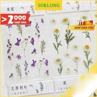 Sticker hoa lá Vintage trang trí sổ bullet jouranal, thiệp, nhãn dán hình hoa lá nhiều mẫu