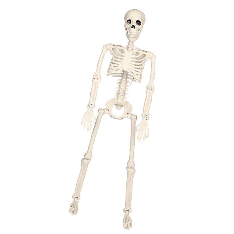 Zzz Eerie Life Size Skeleton với đèn LED Kích thước cuộc sống Bộ xương Halloween có khớp di chuyển v