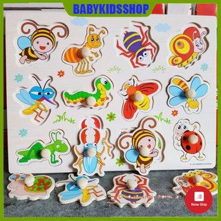 Bảng ghép núm gỗ có núm cầm chủ đề Côn trùng