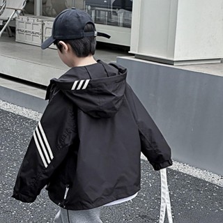 20-60kg Áo khoác gió dài tay kẻ ngang ở tay áo, có mũ, thời trang phong cách Hàn Quốc Dành Cho bé trai