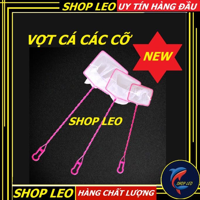 VỢT BẮT CÁ GIÁ RẺ - VỢT CÁ TO