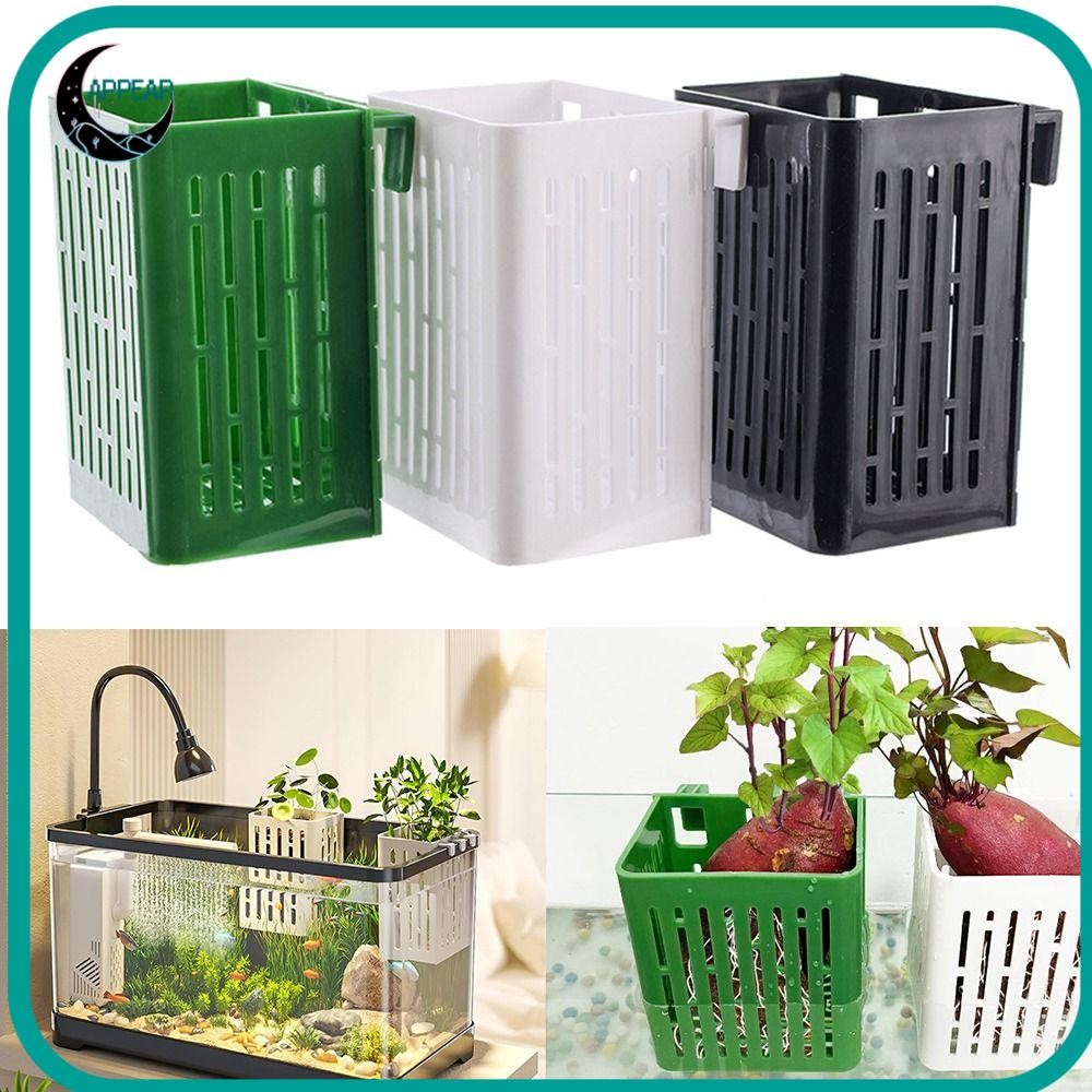 Appear Bể Cá Thủy Canh Giỏ Trồng, Chậu Thủy Tinh Trồng Bể Treo Giá Đỡ Thực Vật Bể Cá, Lưu Vực Cảnh Quan Thủy Canh Có Móc Cốc Trồng Bể Cá Cho Bể Cá