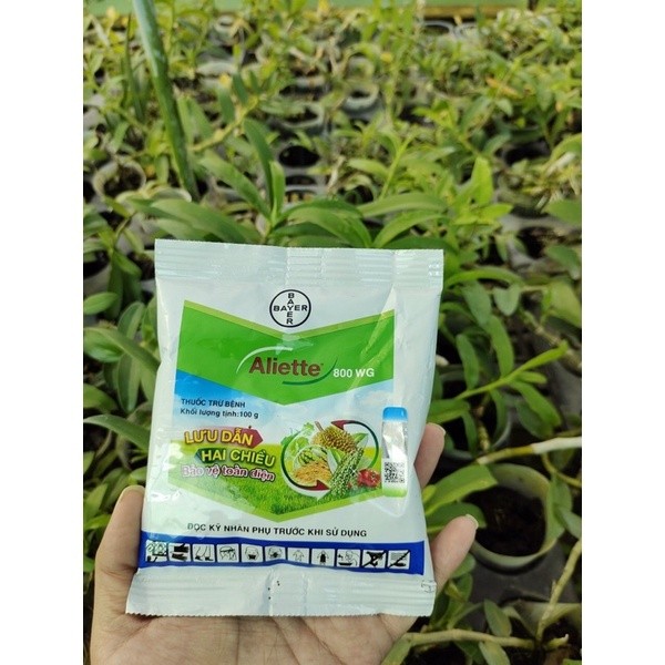 Aliette 800WG – Thuốc Trị Thối Gốc,Rễ