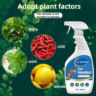  Xịt Đuổi Chuột Chai Xịt Đuổi Chuột Đi Khỏi Nhà Xua Đuổi Chuột Nhắt Chuột Cống Ra Khỏi Hết Nhà Xịt Chuột Hiệu Quả 