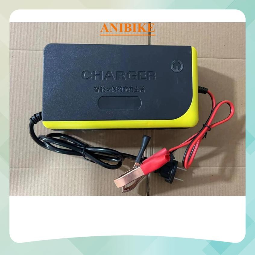 Sạc kẹp ác quy 12V - 5ah -- 100ah tự ngắt chống phồng