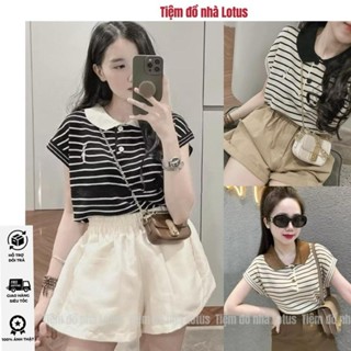 ￼Áo len nữ, áo len TAY HẾN mongtoghi cổ bẻ sọc ngang thêu hình dáng ôm vừa phong cách Hàn Quốc  - Tiệm đồ nhà Lotus