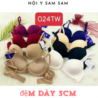 Áo Ngực Nữ Trơn Có Gọng Đệm Mút Dày Vừa 3cm Nâng Ngực 024TW Hàng Việt Nam Xuất Khẩu LINHSHOPI