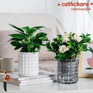 Chậu cây thủy canh CATCHRE294, Chậu hoa có thể tháo rời bằng nhựa, Chậu trồng cây mọng nước Mini tự tưới nước Bình để bàn