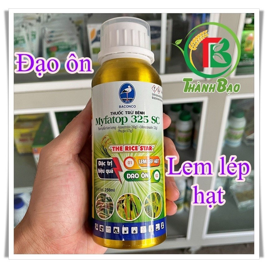 Myfatop THE RICESTAR 32SC (250ML) - đạo ôn, lem lép hạt cây trồng Help. Amistar Top