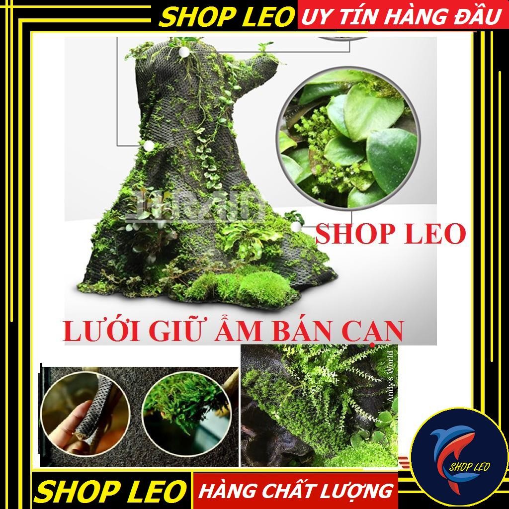Lưới giữ ẩm bán cạn