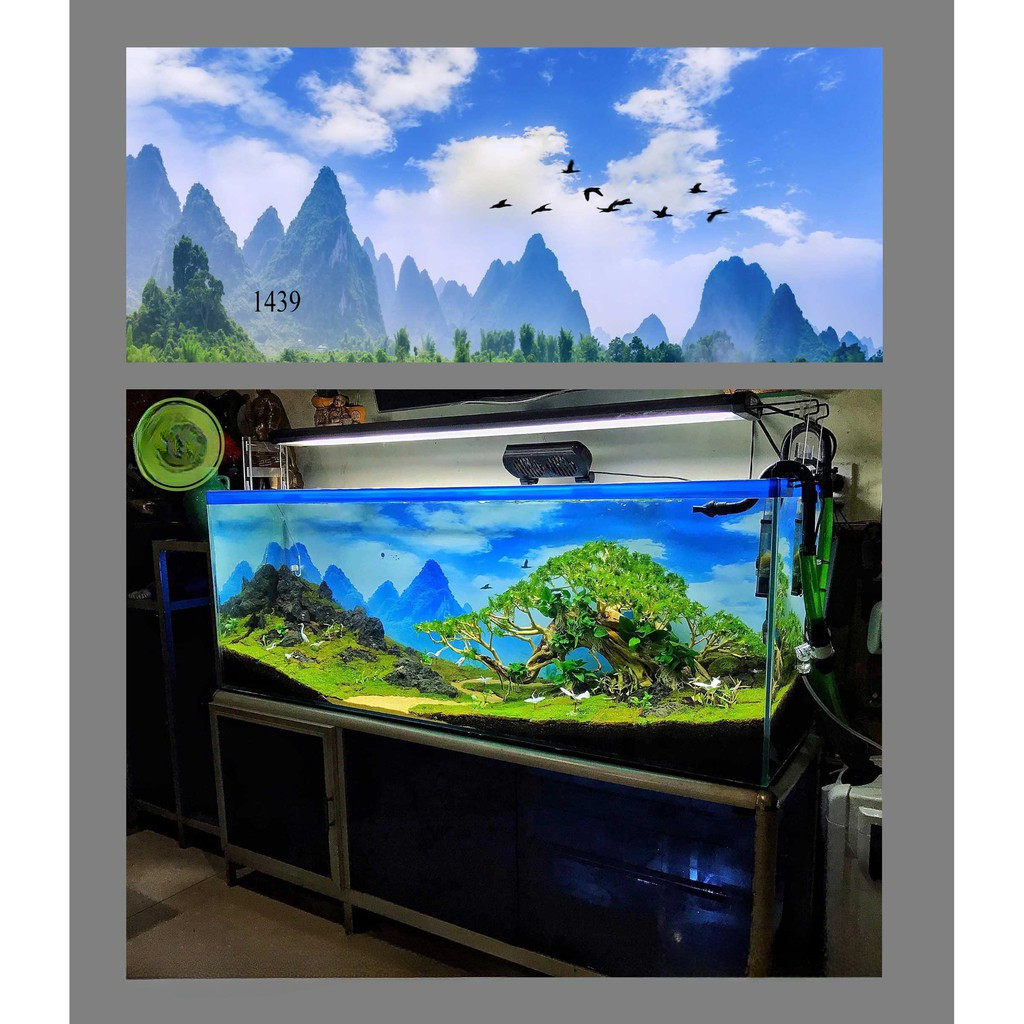 [Tặng Đồ Dán+Sticker] Tranh 3d dán bể cá trang trí bể cá nhiều kích thướt chọn lựa 1439