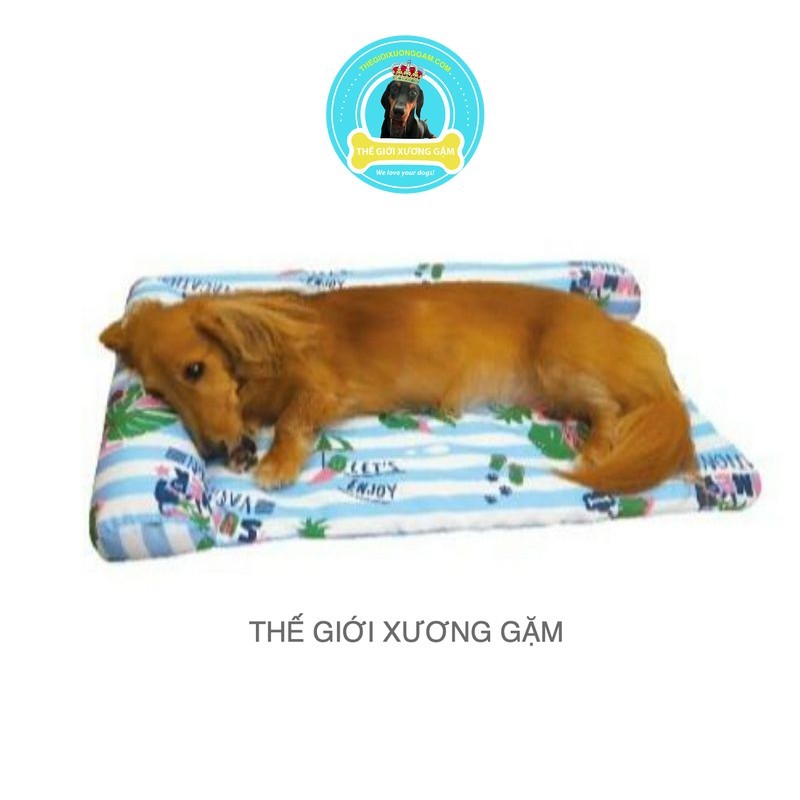 [CÓ SẴN] NỆM HÈ CHO CHÓ HÌNH CHỮ L 650X450X70 DOGGYMAN