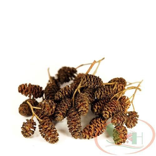 12 Trái Alder Cones (Erlenzapfen) Chất Lượng Cao
