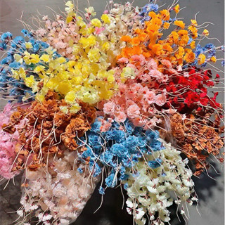 Phụ Kiện Hoa Mai, Cành Mai Đào Trang Trí Tháp Bánh, Tháp Bia Decor Bàn Tiếp Khách Ngày Lễ Tết