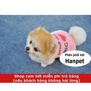 Quần Áo chó mèo