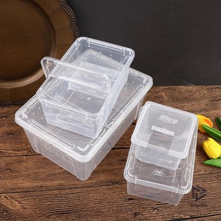 [Shgezm] Hộp bò sát Mantis nhảy nhện tằm hộp nuôi bò sát [MỚI]