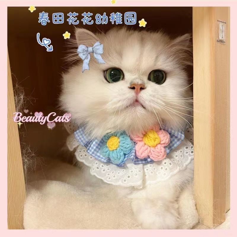 Khăn yếm chó mèo Pet Nước bọt Muppet Teddy Bichon