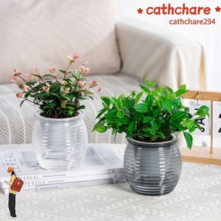 Chậu cây tự tưới nước CATCHARE294, Chậu hoa để bàn bằng nhựa hai lớp, Đồ trang trí nhà cửa Bình hoa trong suốt bền