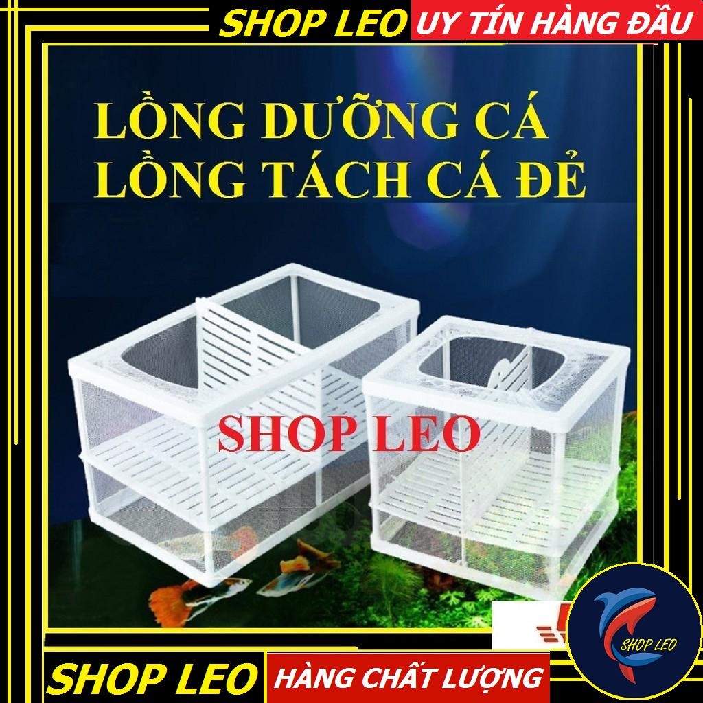 LỒNG DƯỠNG CÁ- TÁCH CÁ ĐẺ- lồng cá đẻ