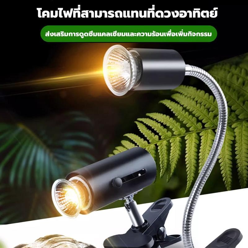 Sưởi ấm và UVA + UVB 3.0 Bird Light Turtle Lizard Fire Reptile Lights Give Warmth
