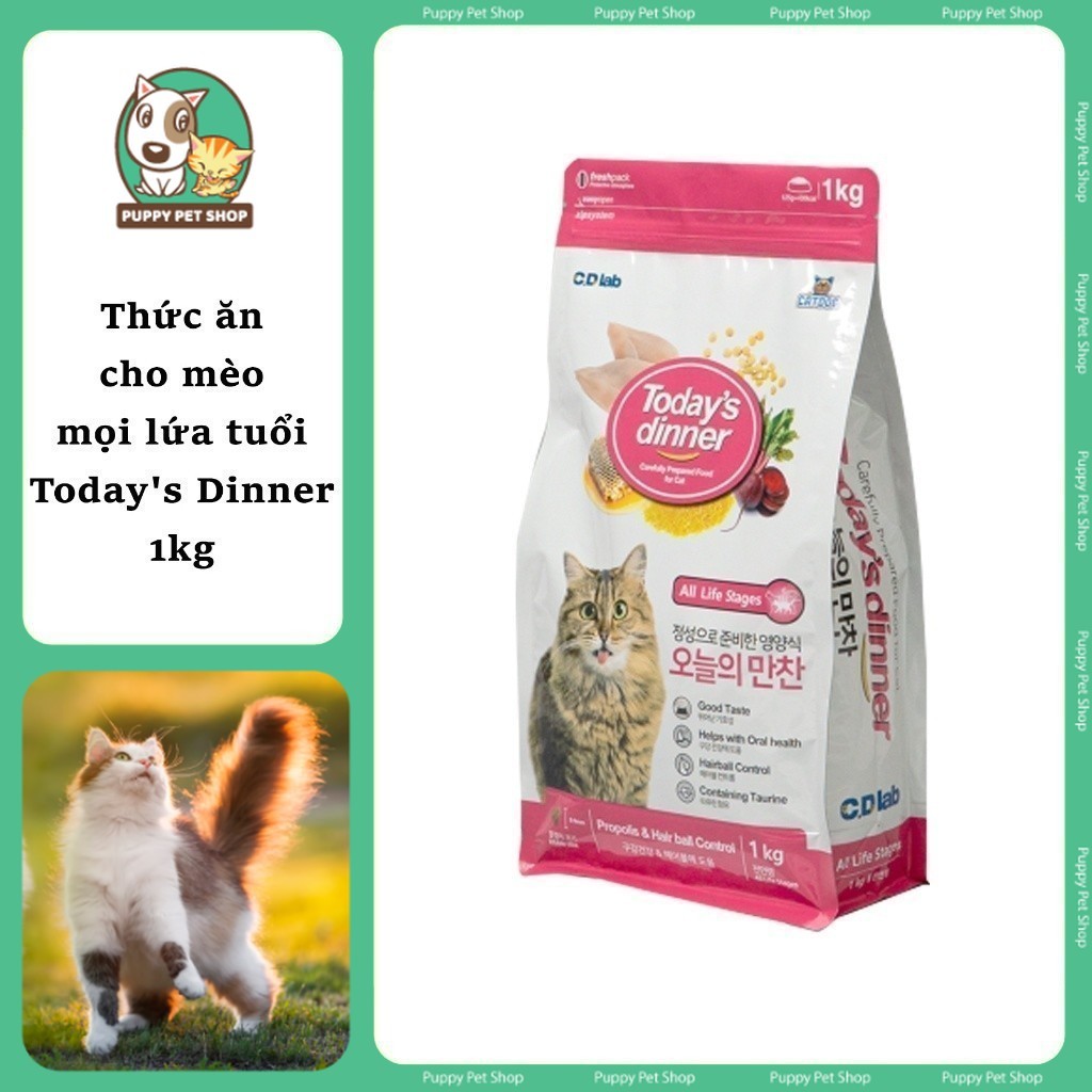 Thức Ăn Hạt Today's Dinner nhập khẩu Hàn Quốc 1kg dành cho cho mèo mọi lứa tuổi, mèo con, mèo trưởng thành