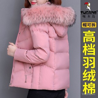 [Yi Chengcheng] Vận chuyển nhanh Chim Gõ Kiến Áo khoác đệm bông xuống chính hãng của phụ nữ áo khoác đệm mùa đông mẫu ngắn Áo khoác đệm bông mùa đông mẫu mới cho mẹ Áo khoác đệm bông ấm áp PF5I