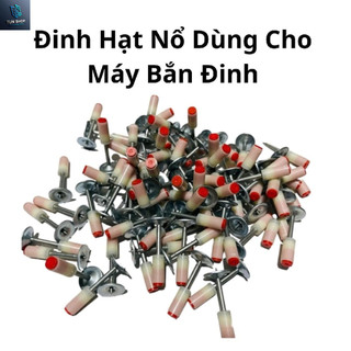  Đinh hạt nổ dùng cho các loại máy bắn đinh 