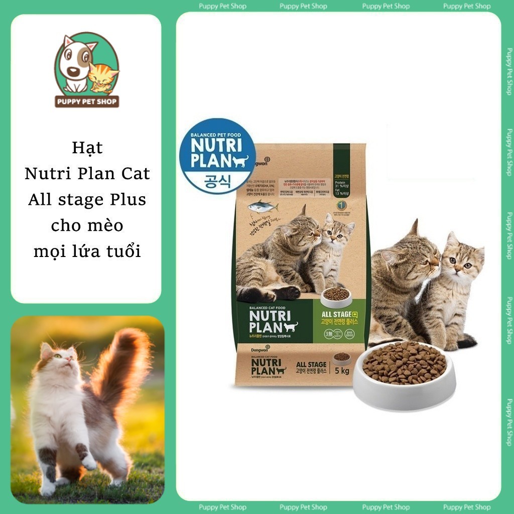 [Gói 1kg] Thức ăn hạt cho Mèo mọi lứa tuổi Nutri Plan, Nutri Plan Cat All Life Stage Plus