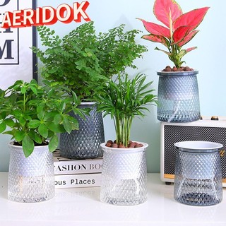 AERIDOK Chậu hoa, Chậu cây tự tưới bằng nhựa, Đồ dùng làm vườn thực tế Máy trồng thủy canh mực nước có thể nhìn thấy
