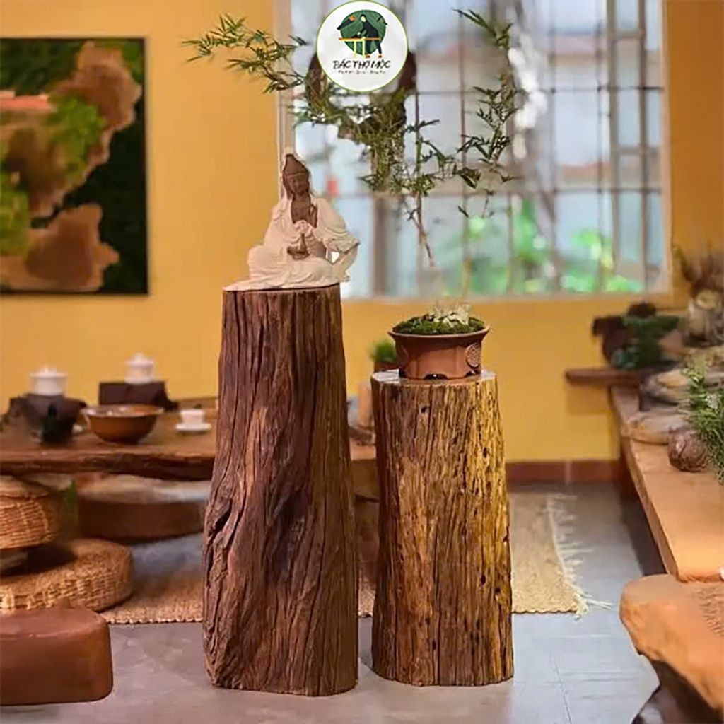 Khúc Đôn Gỗ Thịt Nguyên Khối, Khúc Gỗ Lũa Tự Nhiên Siêu Lũa Decor Làm Bàn Ghế Đặt Tượng Kích Thước