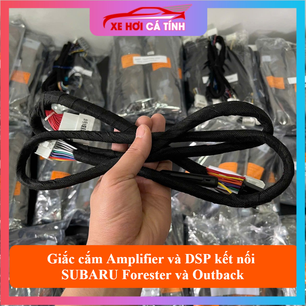 Giắc cắm Amplifier và DSP kết nối cho xe ô tô Cho Ô Tô SUBARU Forester và Outback chuẩn Plug & Play