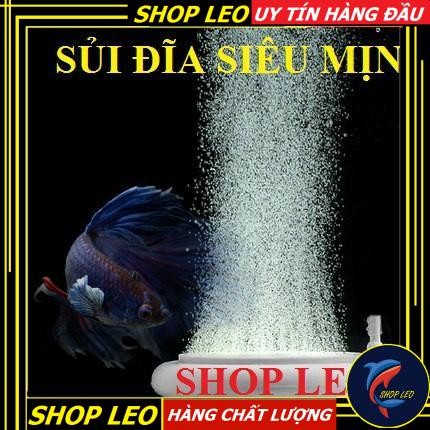 SỦI ĐĨA OXY SIÊU MỊN - SỦI ĐĨA HỒ CÁ