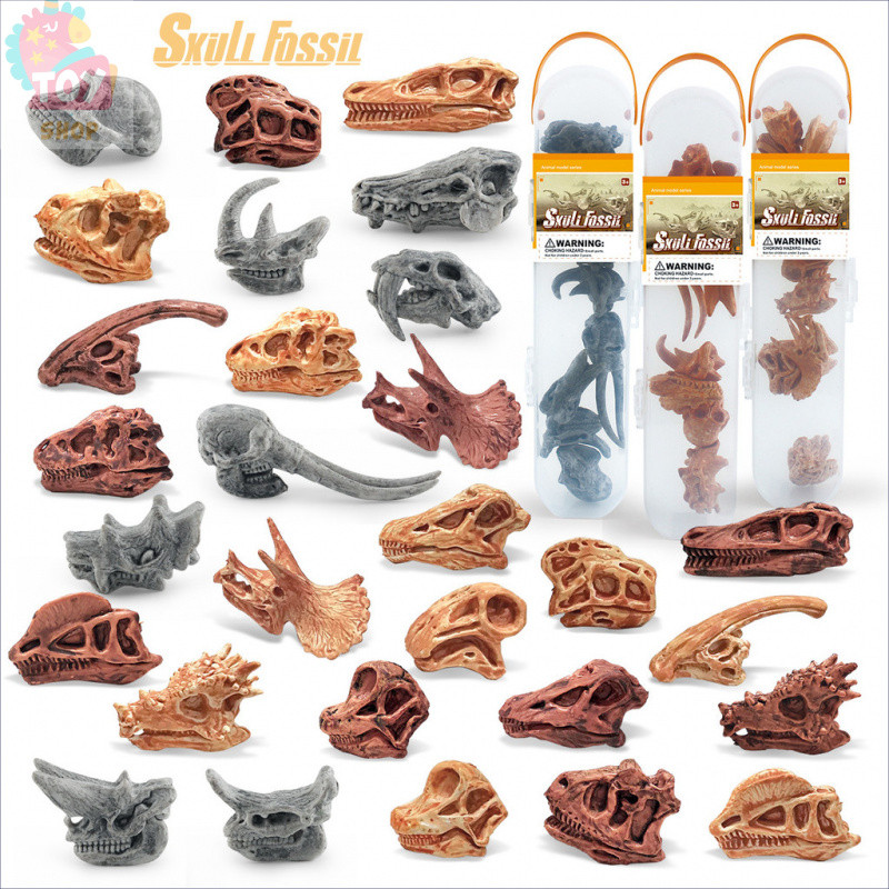 Mô phỏng hộp sọ khủng long mini mô phỏng hộp sọ động vật thời tiền sử Bộ Xương hộp đựng hóa thạch đồ